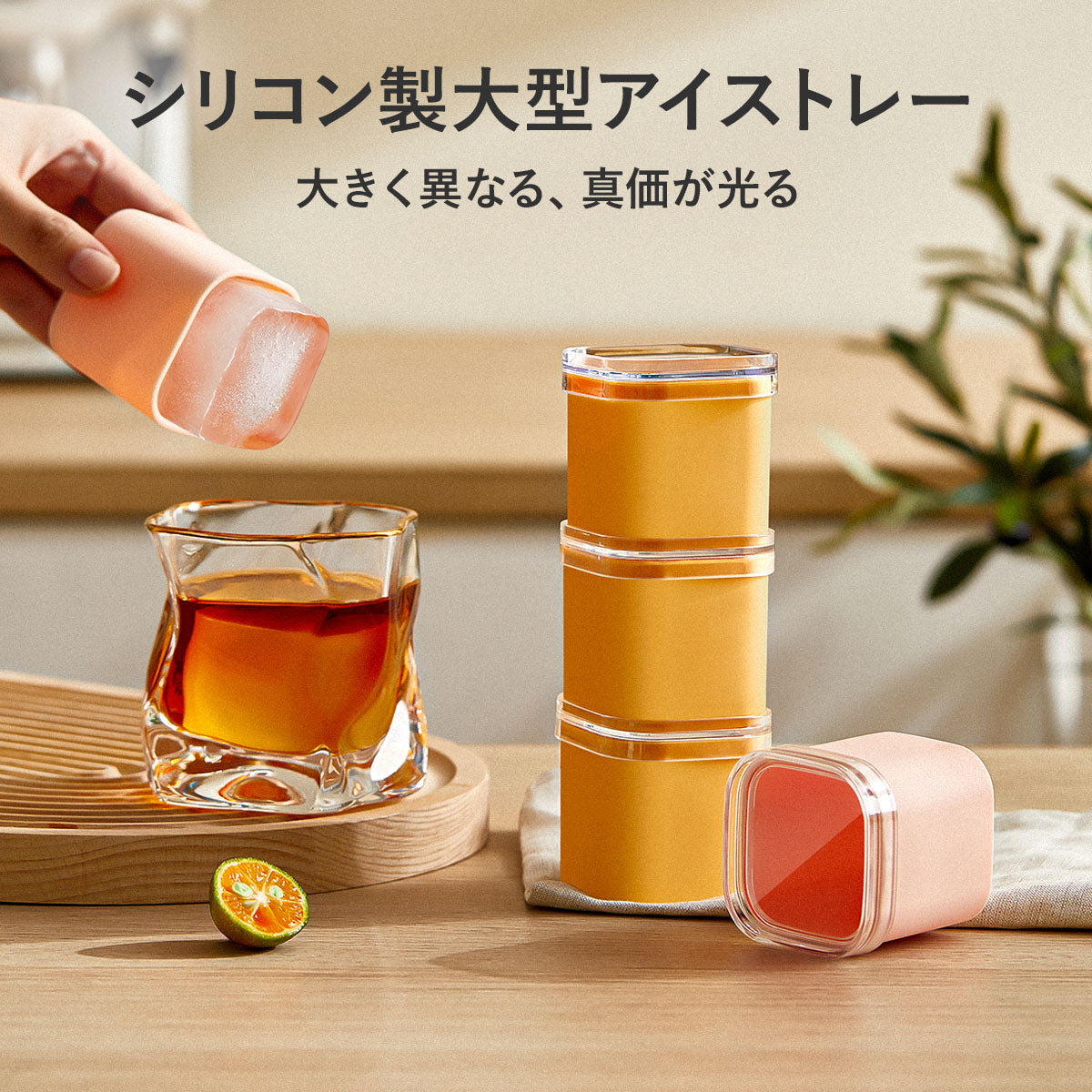 ZASA アイスモールド