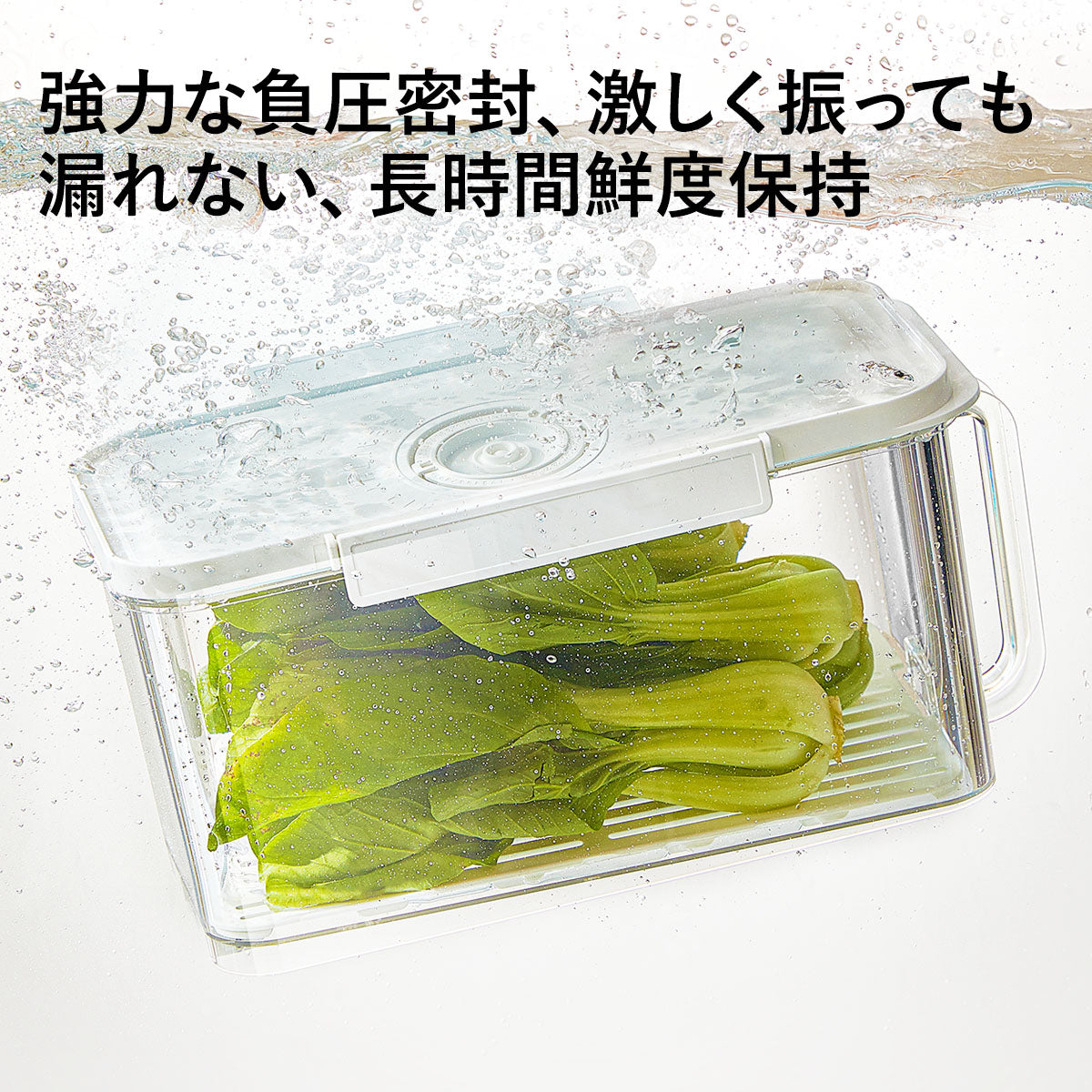 ZASA Vacuum Storage Container
