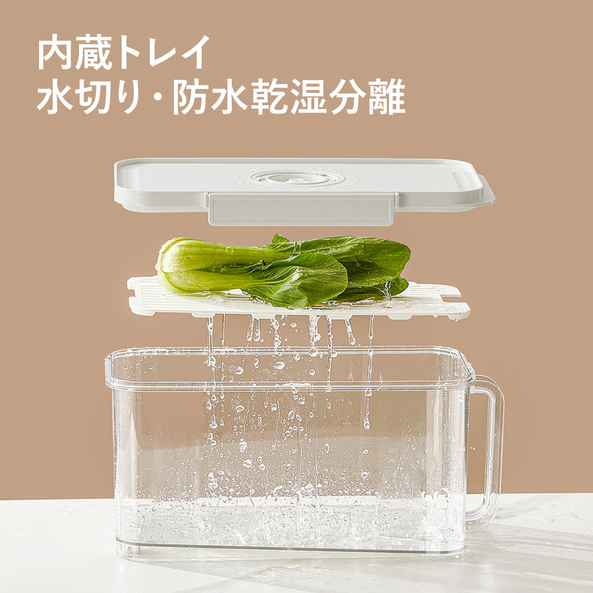 ZASA Vacuum Storage Container
