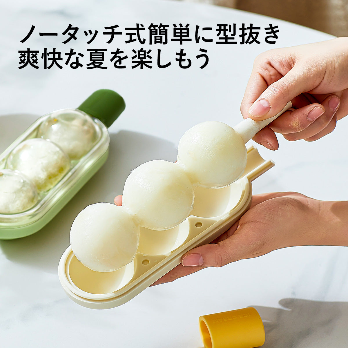 ZASA Ice Mold