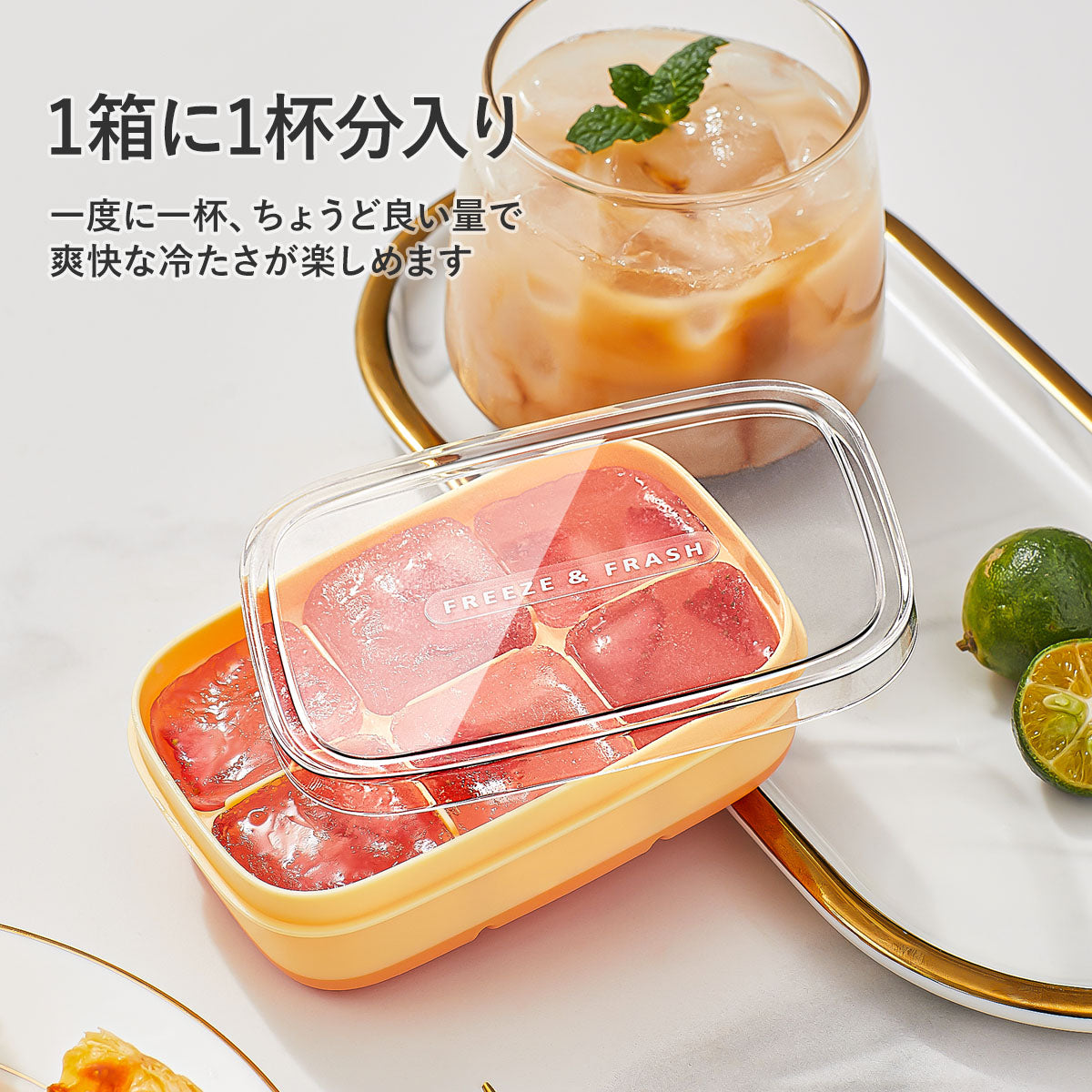 ZASA Ice Tray