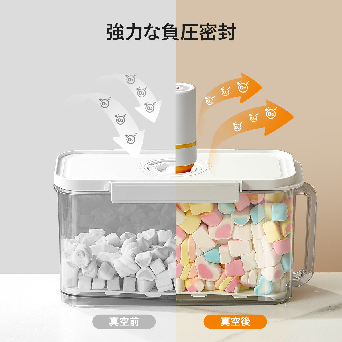 ZASA Vacuum Storage Container