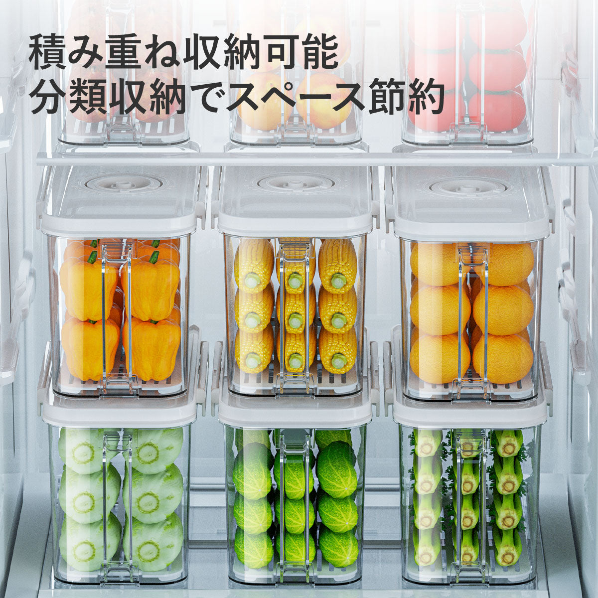 ZASA Vacuum Storage Container