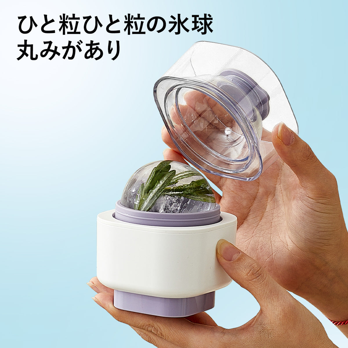 ZASA アイストレー