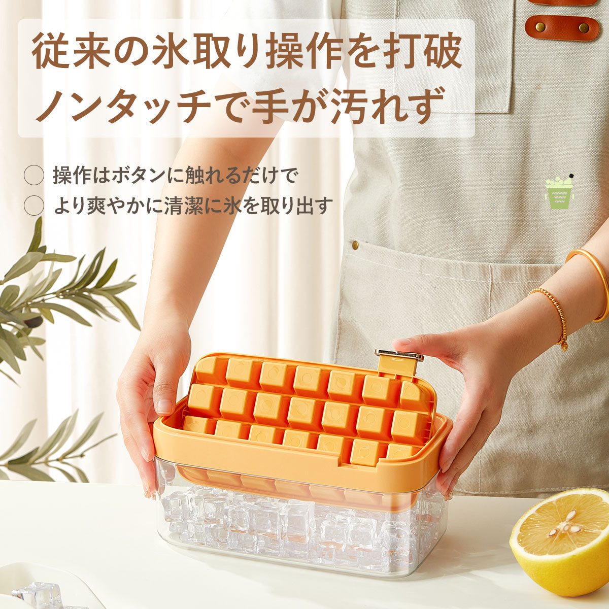 ZASA 製氷皿