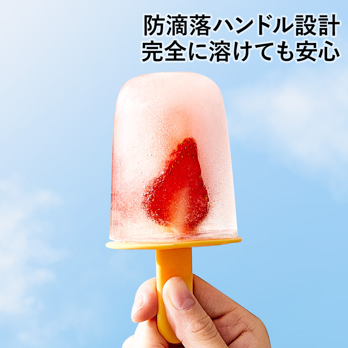 ZASA Ice Mold
