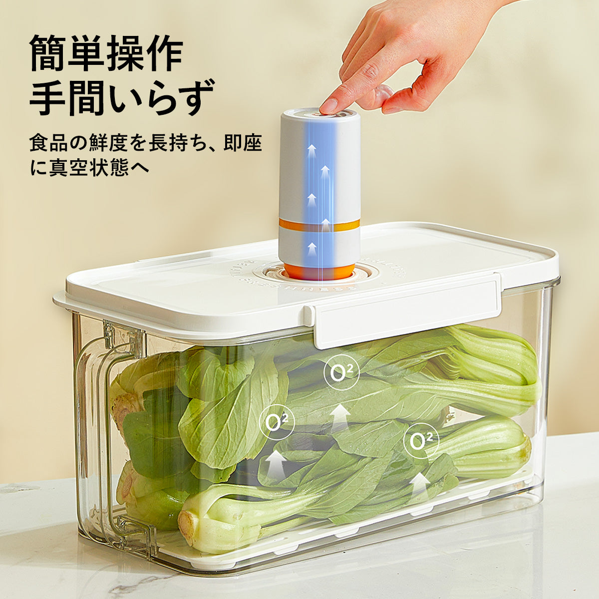 ZASA Vacuum Storage Container