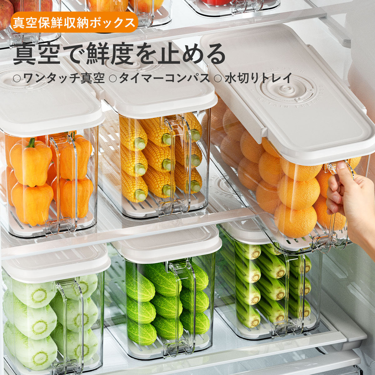 ZASA Vacuum Storage Container