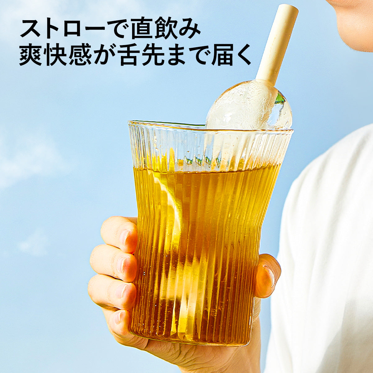 ZASA Ice Mold