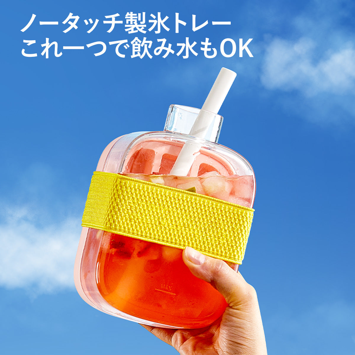 ZASA 2WAY Ice Tray