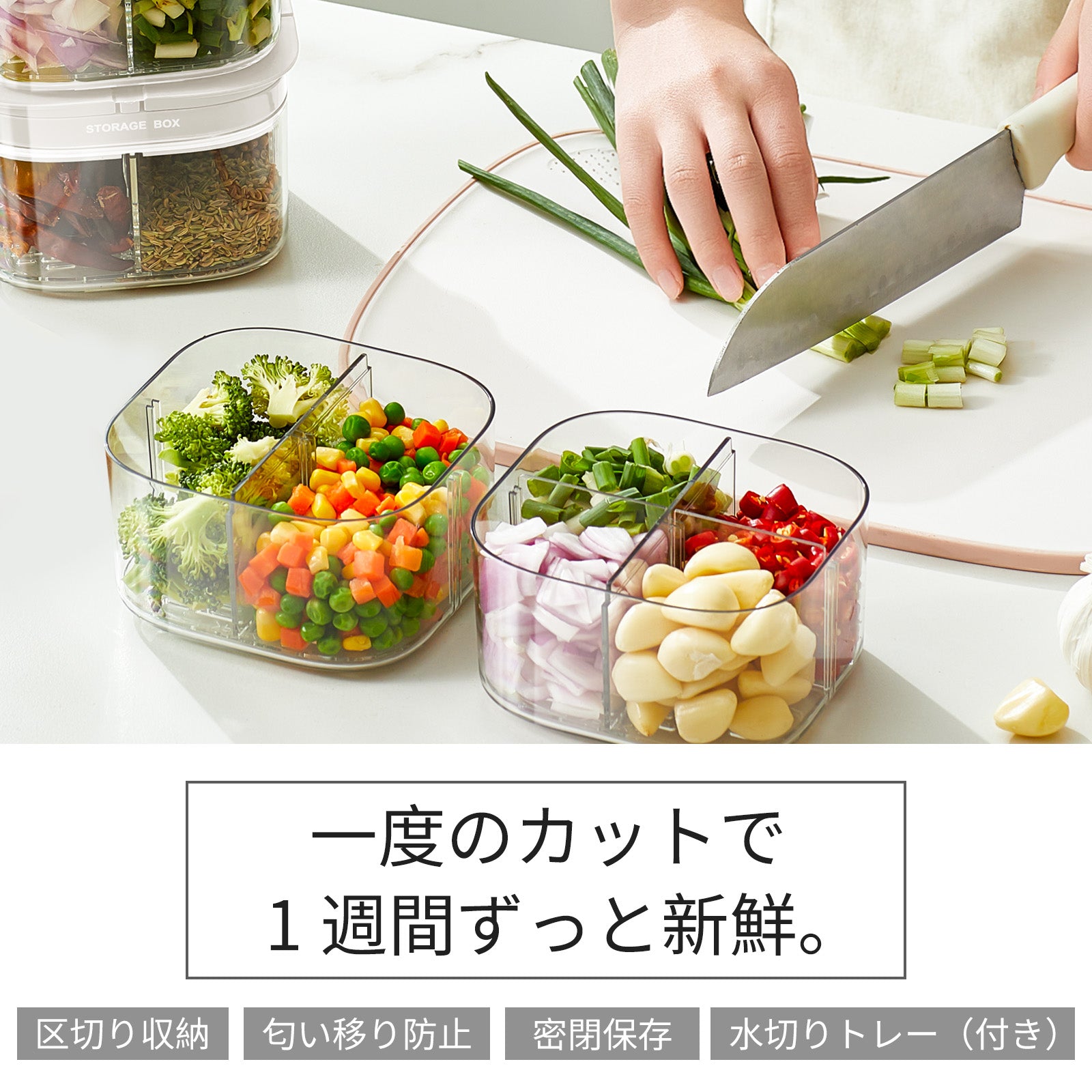 ZASA 香辛料保存容器