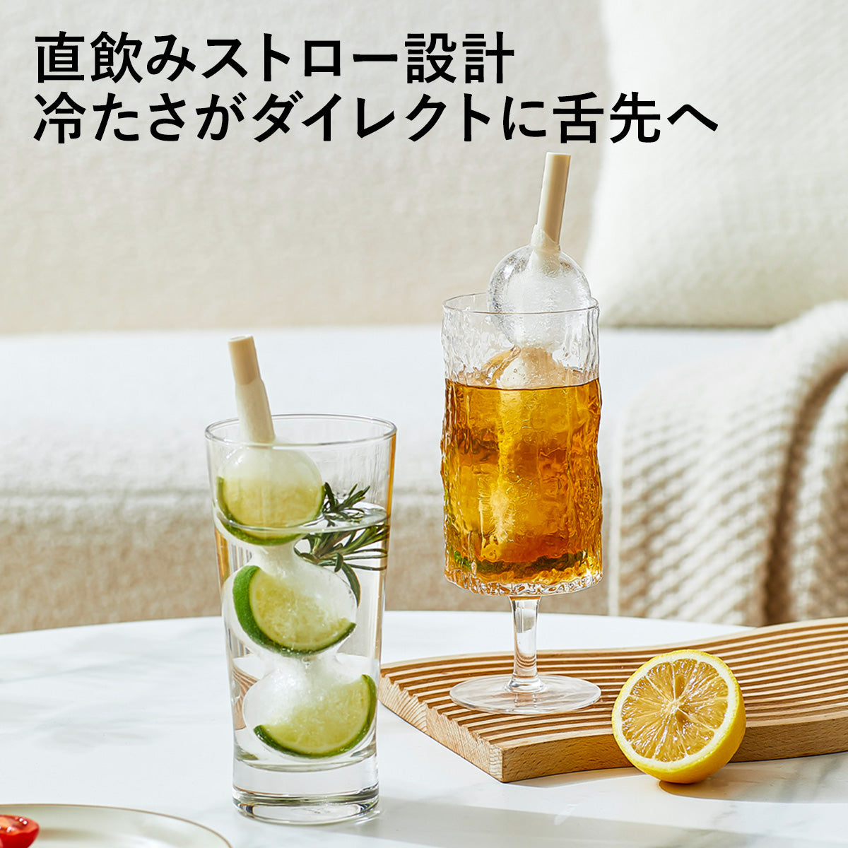 ZASA Ice Mold