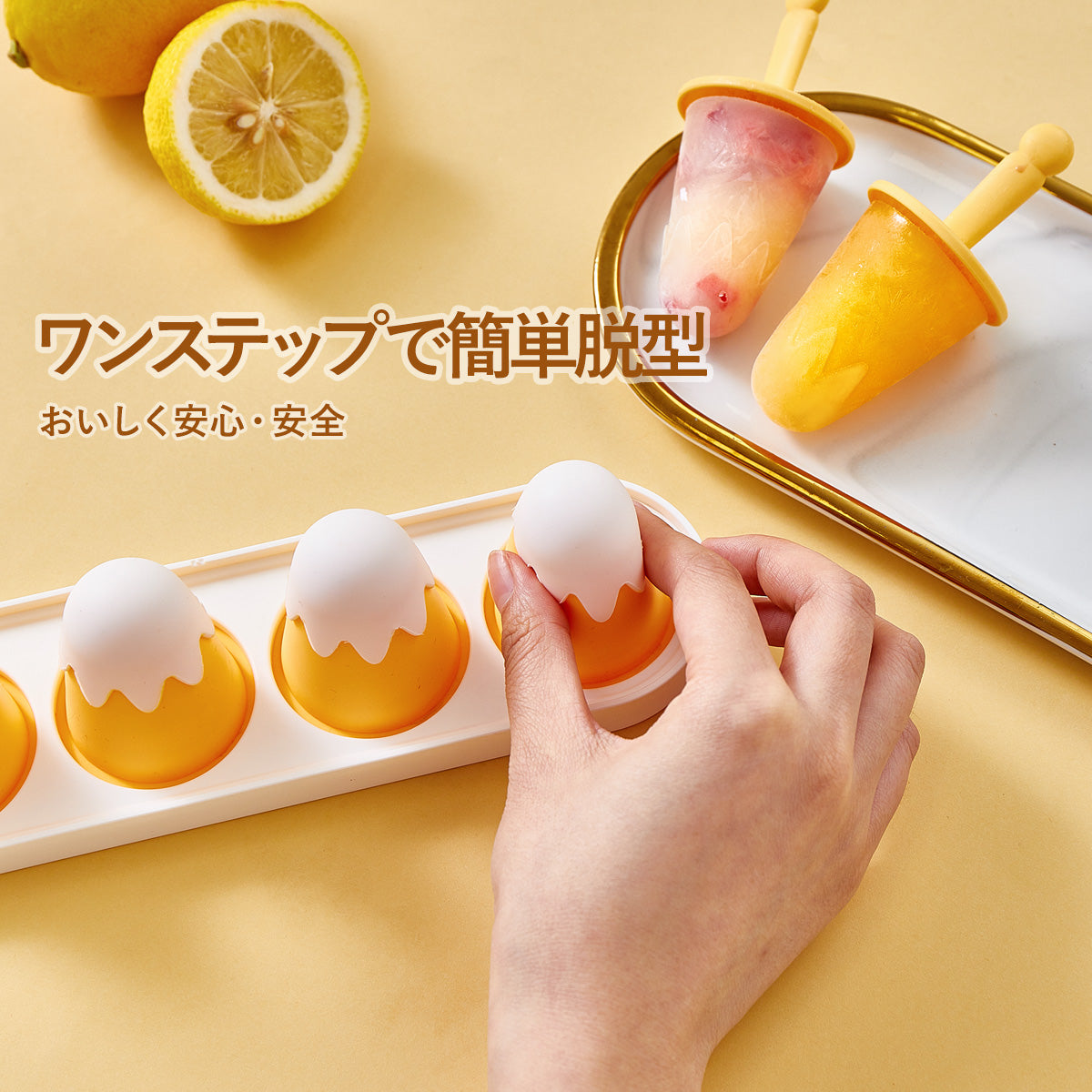ZASA Ice Mold