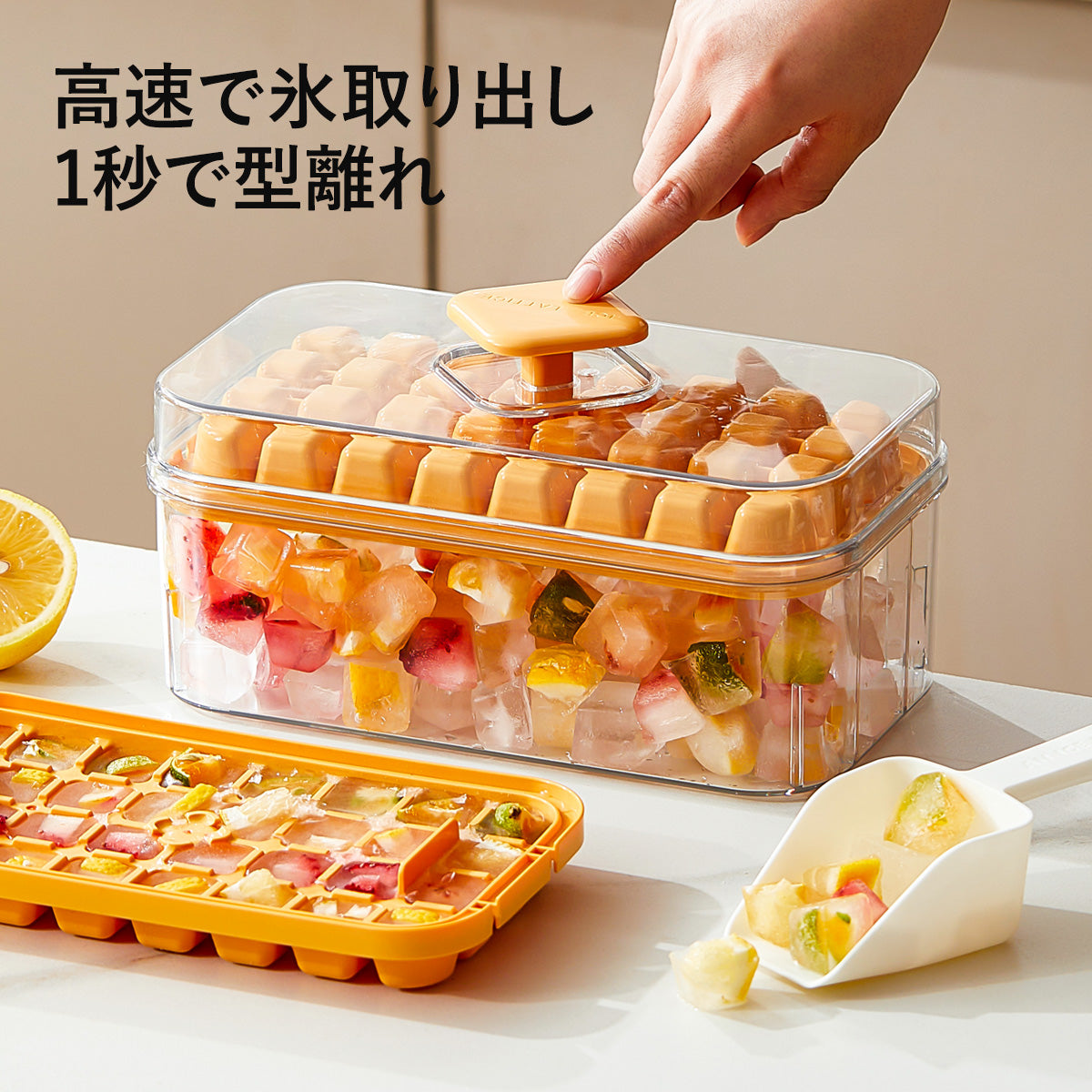 ZASA Ice Tray
