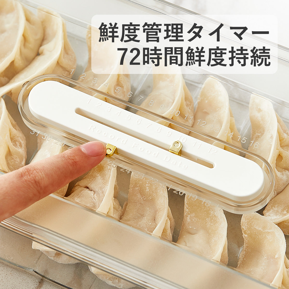 ZASA  多用途収納ケース