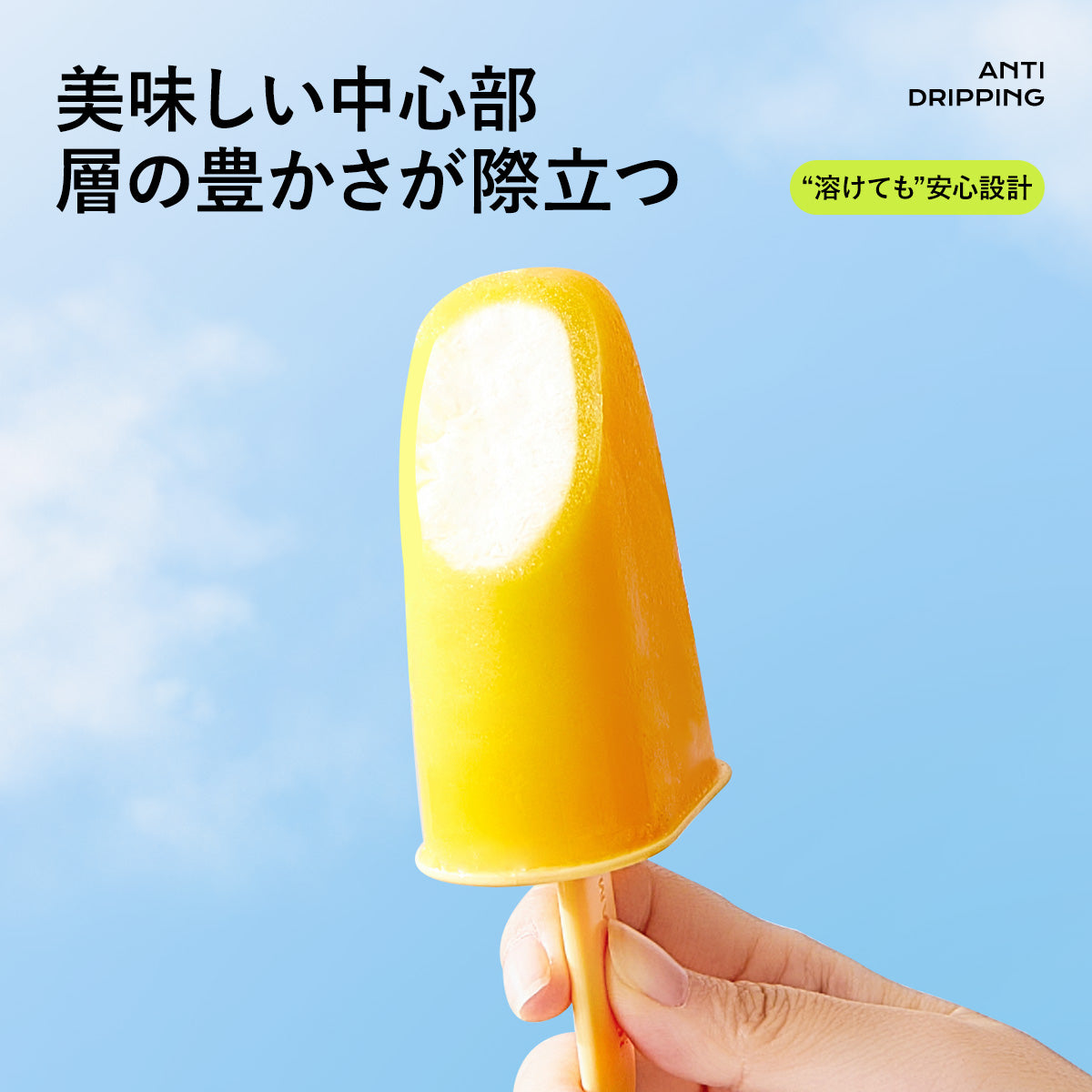 ZASA Ice Mold