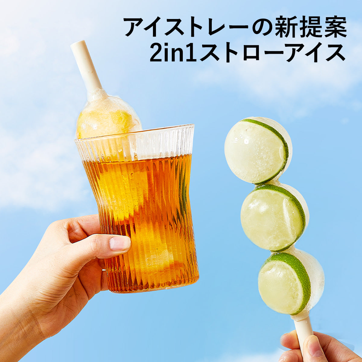 ZASA Ice Mold