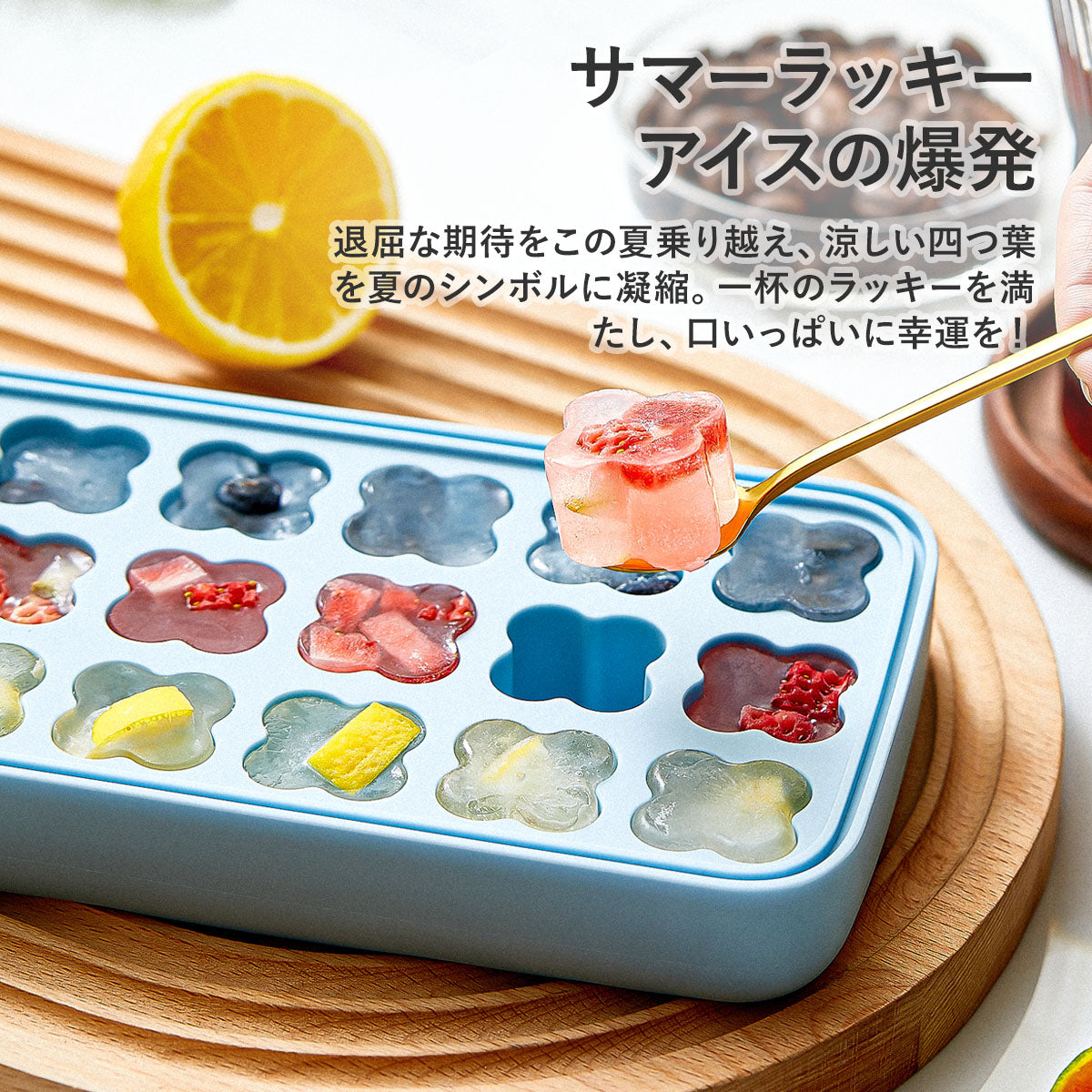 ZASA Ice Tray