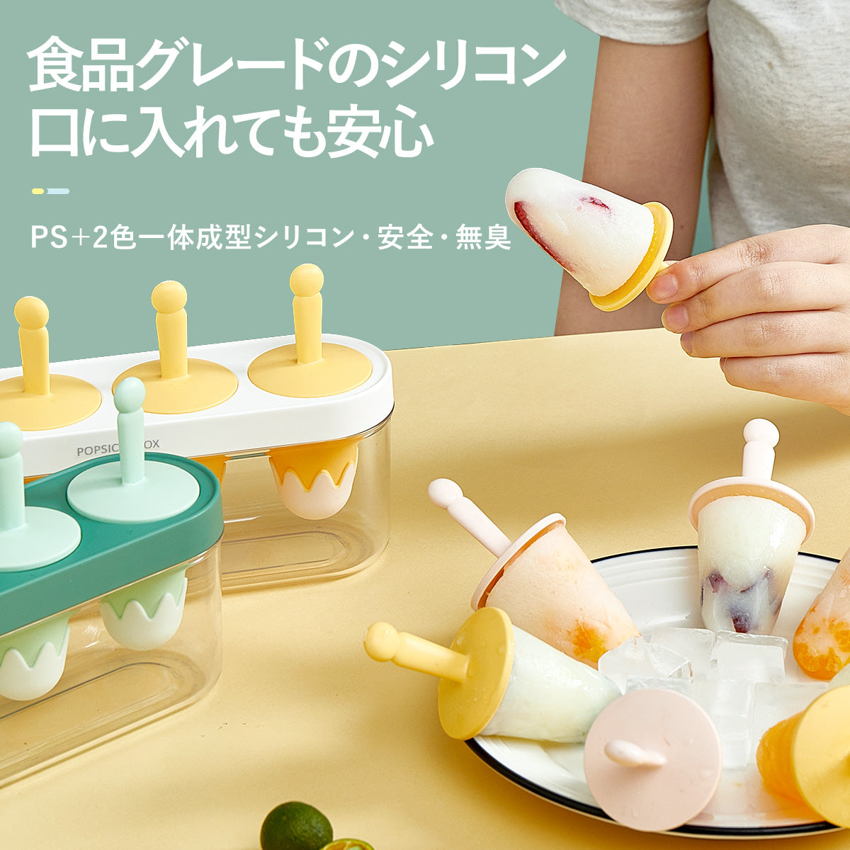 ZASA Ice Mold
