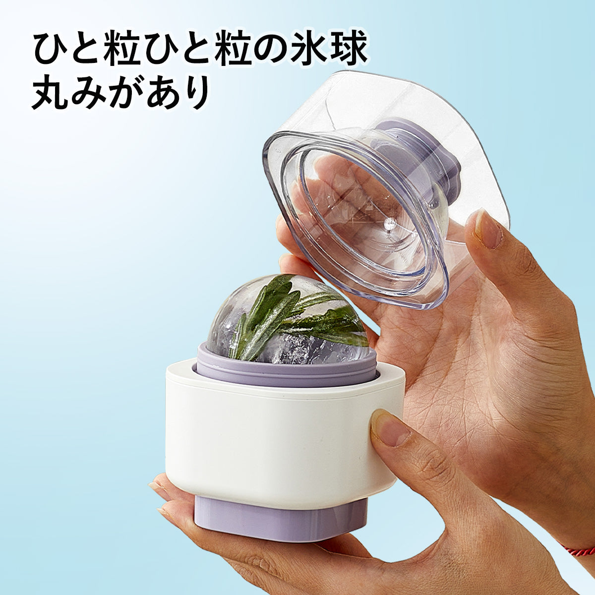 ZASA Ice Mold