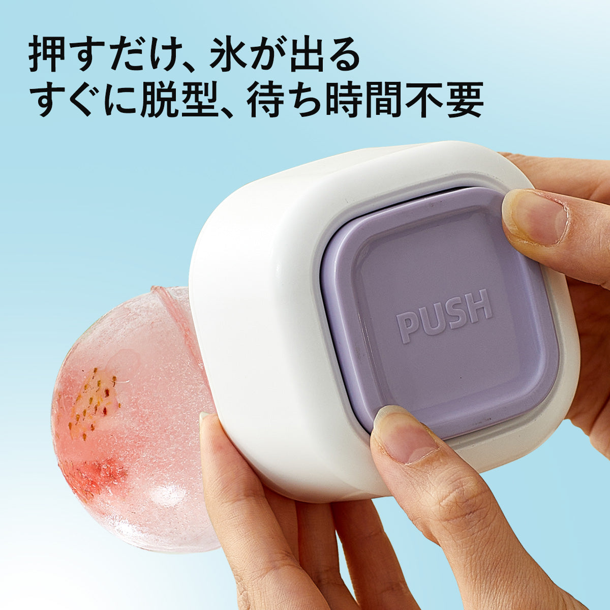 ZASA Ice Mold