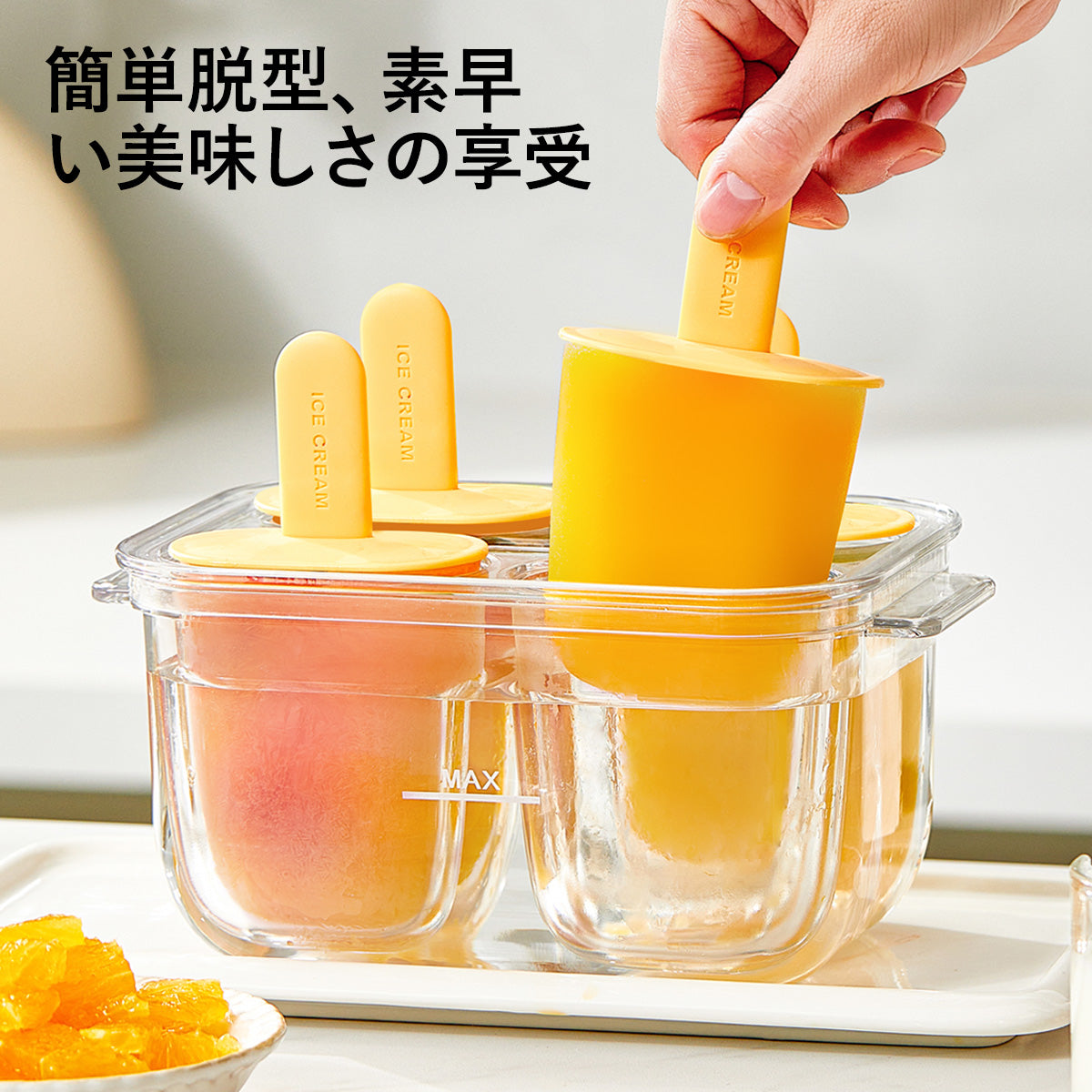 ZASA Ice Mold