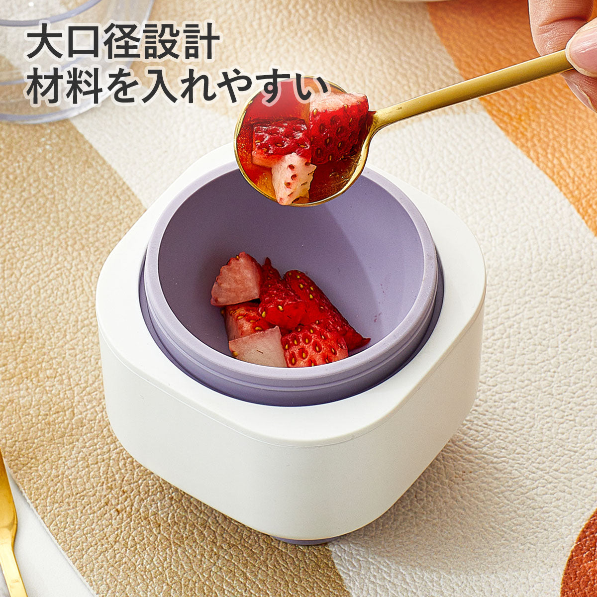 ZASA Ice Mold