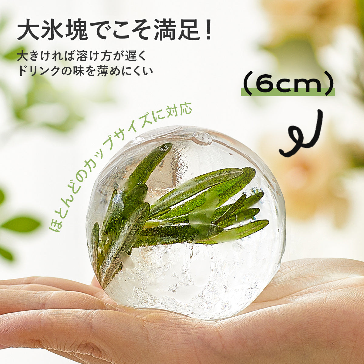 ZASA Ice Mold